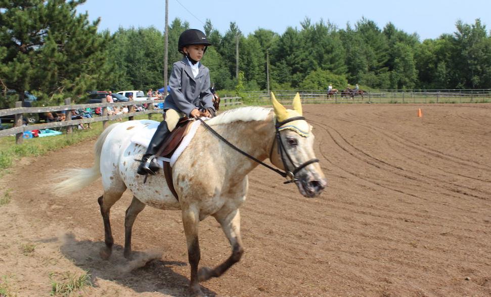 Saddle Club show
